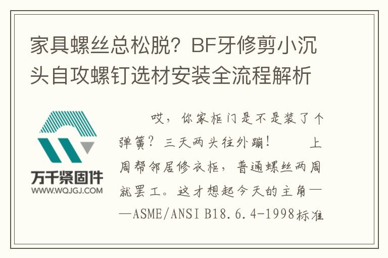 家具螺絲總松脫？BF牙修剪小沉頭自攻螺釘選材安裝全流程解析