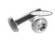 C牙細牙梅花槽盤頭自攻螺釘 ASME B18.6.3