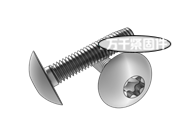 C牙細牙梅花槽扁圓頭自攻螺釘 ASME B18.6.3